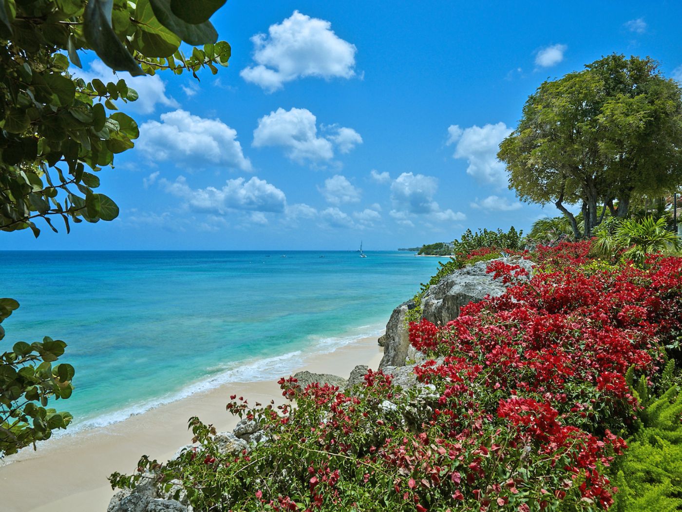 Beach at Seaclusion in Barbados