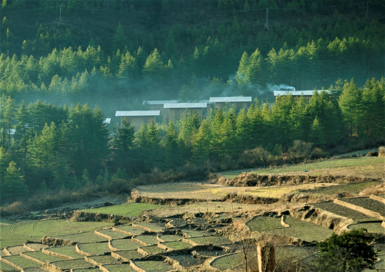 Surrounding forest and rice paddies at luxury hotel Amankora Paro in Bhutan