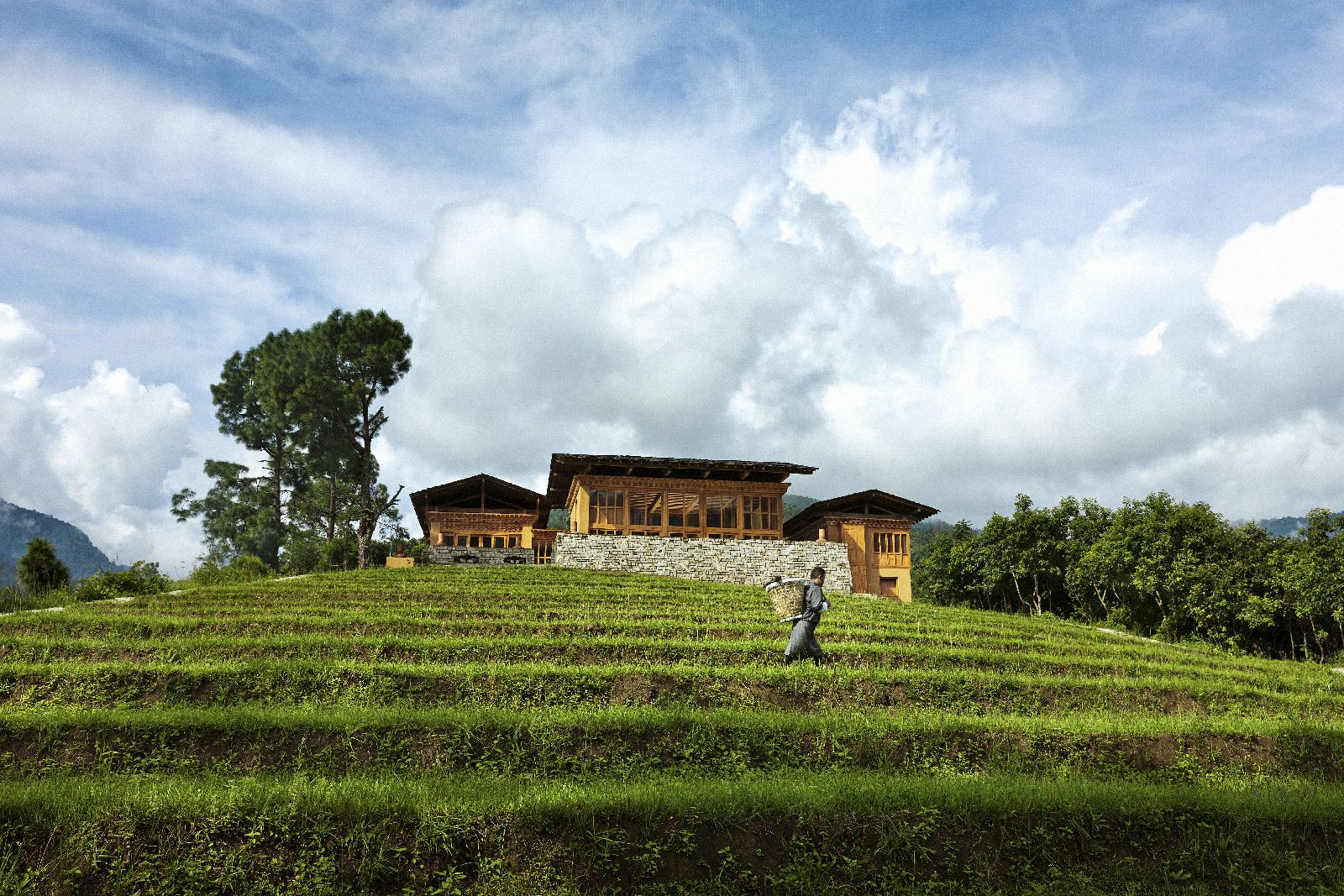 Lush green agricultural terraces surrounding the COMO Uma Punakha in Bhutan