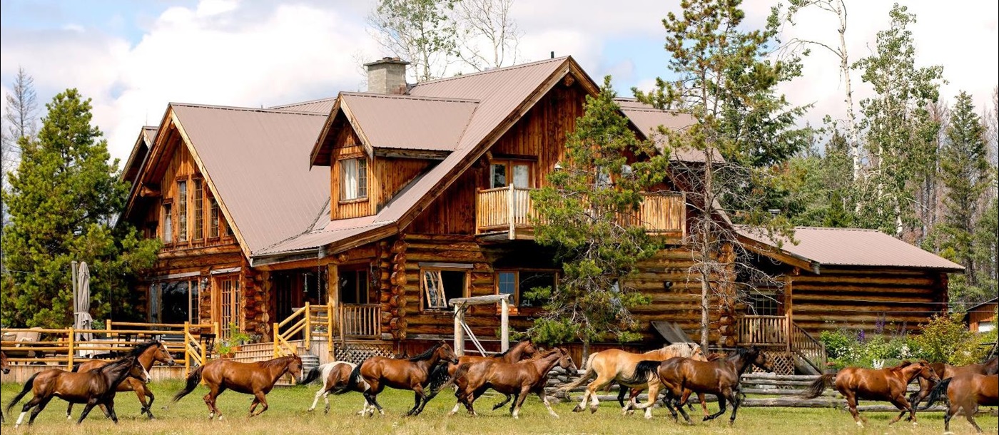 Horses running past the lodge on the grounds of Siwash Lake Ranch in Canada's British Columbia