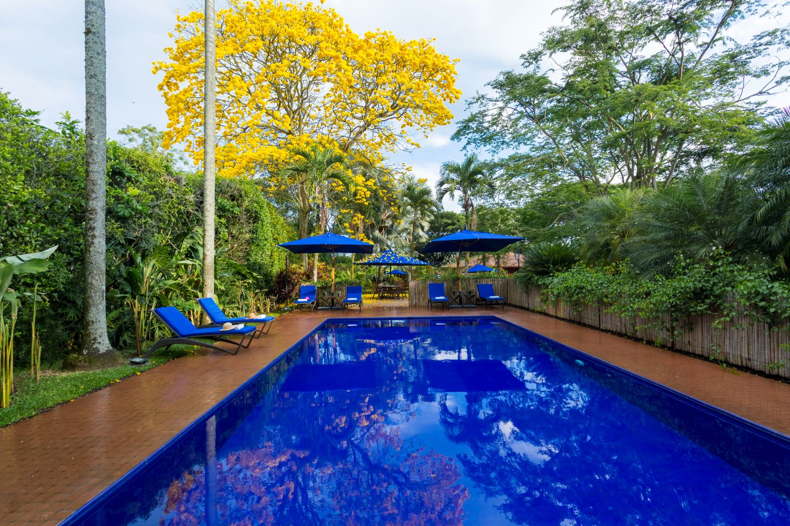 Poolside and sun loungers at Hotel Boutique Sazagua in Colombia's coffee region
