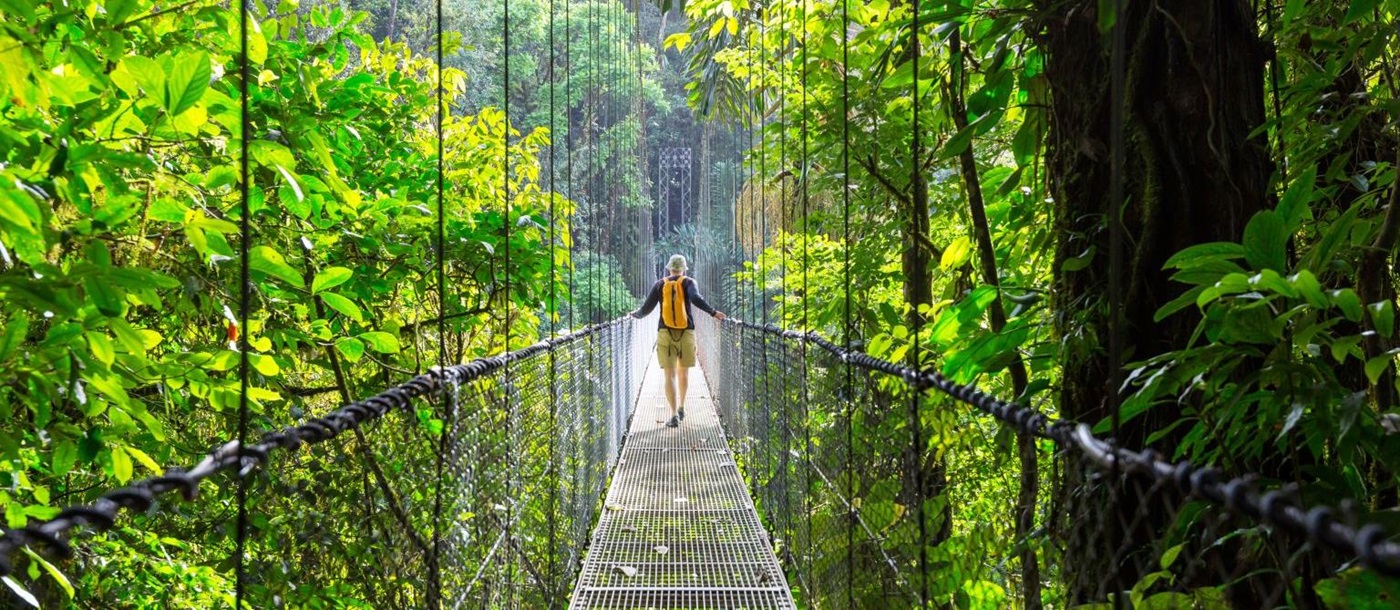 Canopy walkways in the Monteverde Cloud Forest Costa Rica