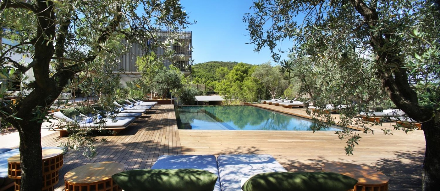 Loungers and olive trees around the pool at luxury resort Maslina on Hvar, Croatia