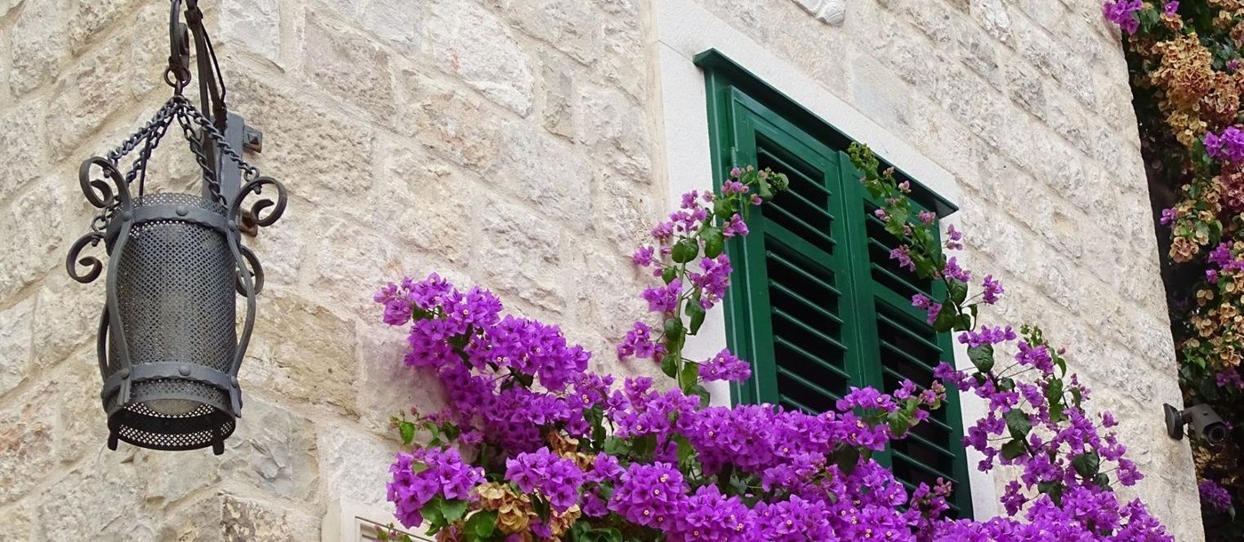 Historic street corner and lamp in Split Croatia with purple bougainvillea