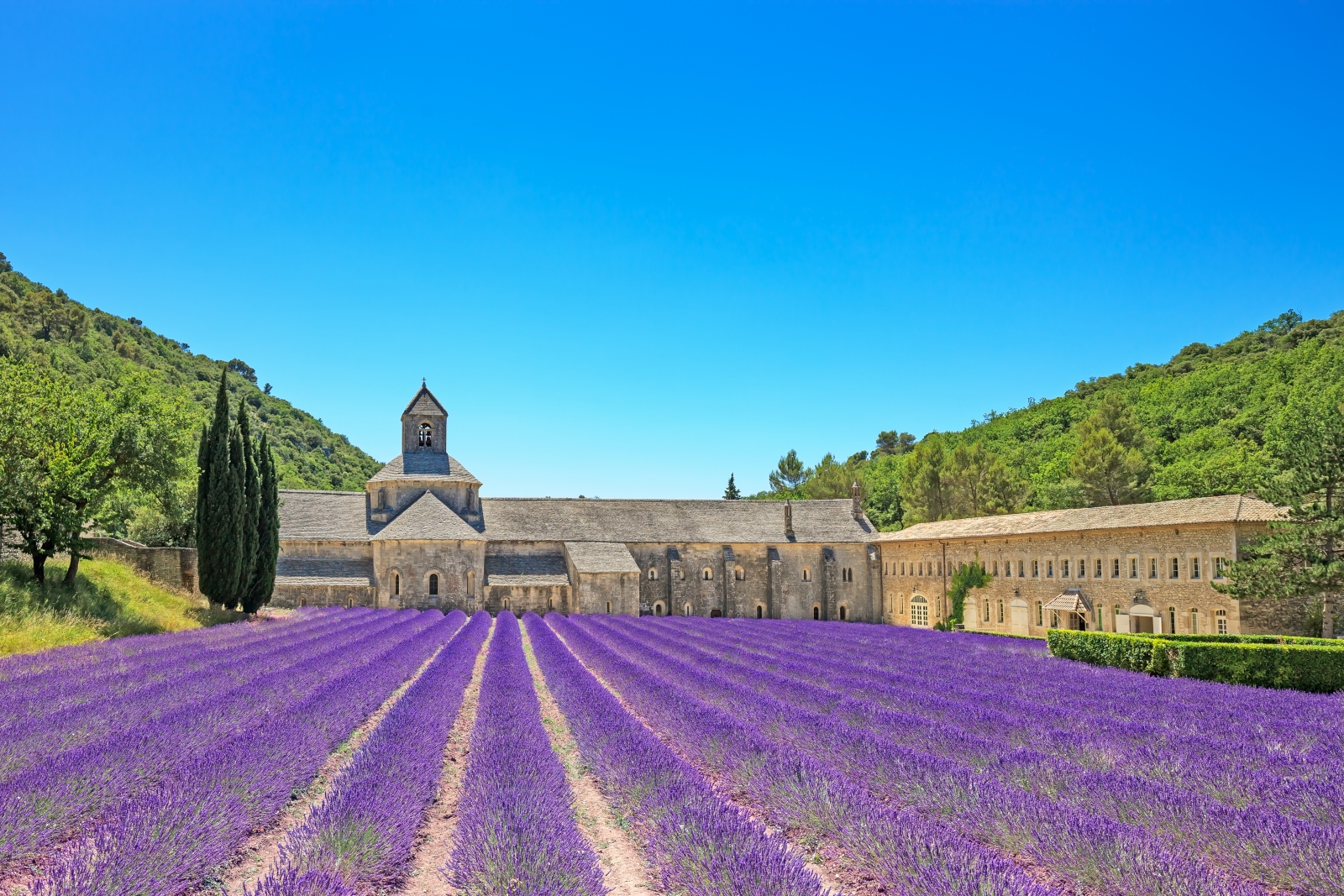 Abbaye de Senanque in Provence