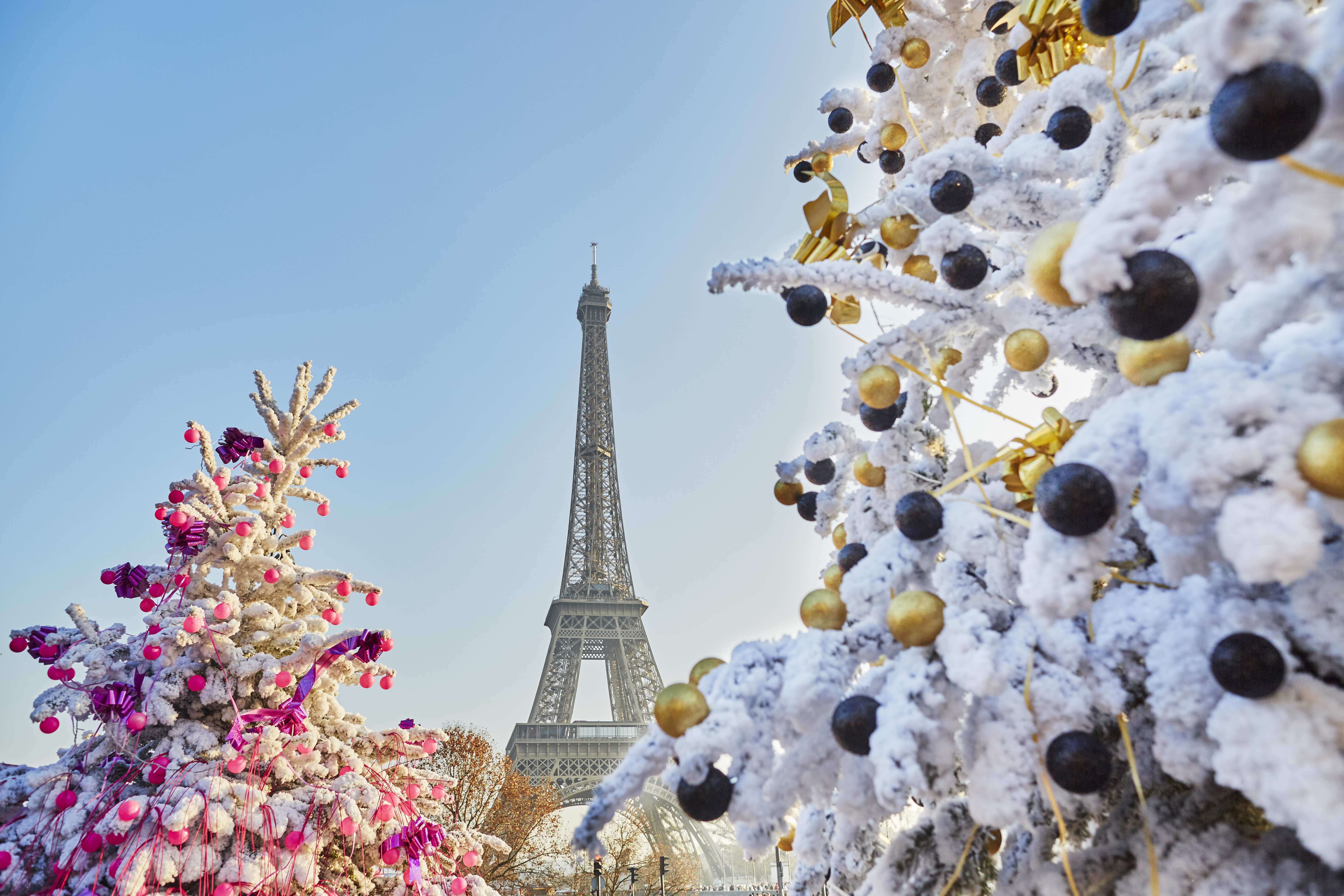 Eiffel Tower at Christmas time surrounded by decorated trees