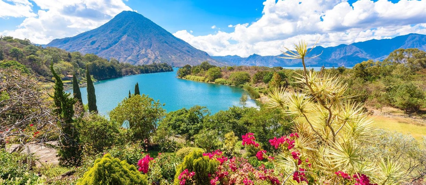 Colourful flora surrounding Lake Atitlan in Guatemala