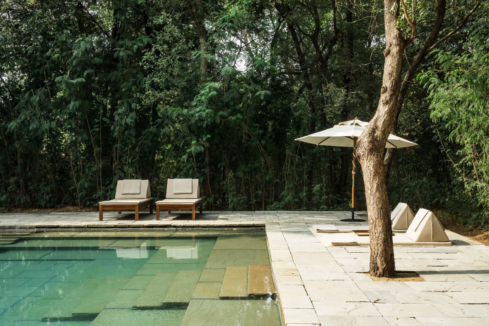 Poolside sunbeds at Aman-I-Khas by Ranthambore National Park in India