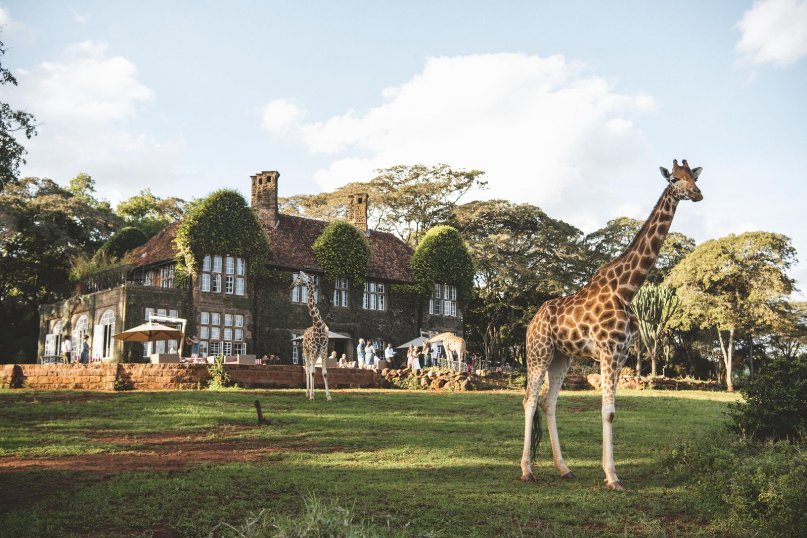 Exterior view of Giraffe Manor Nairobi