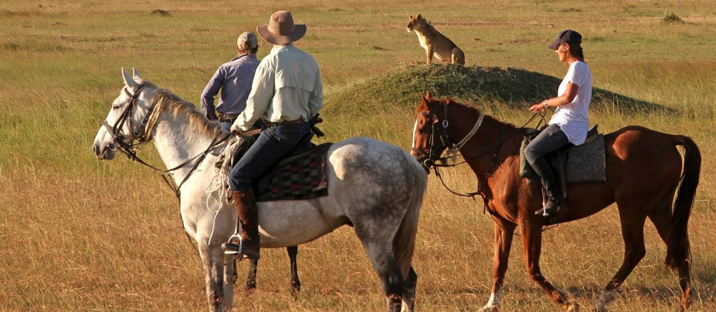 Horse riders with lion in Masai Mara in Kenya