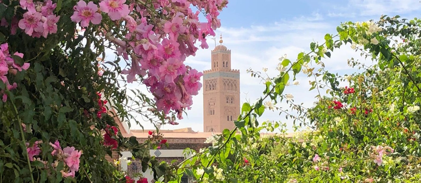 Flowers and distant view of the medina in Marrakech Morocco