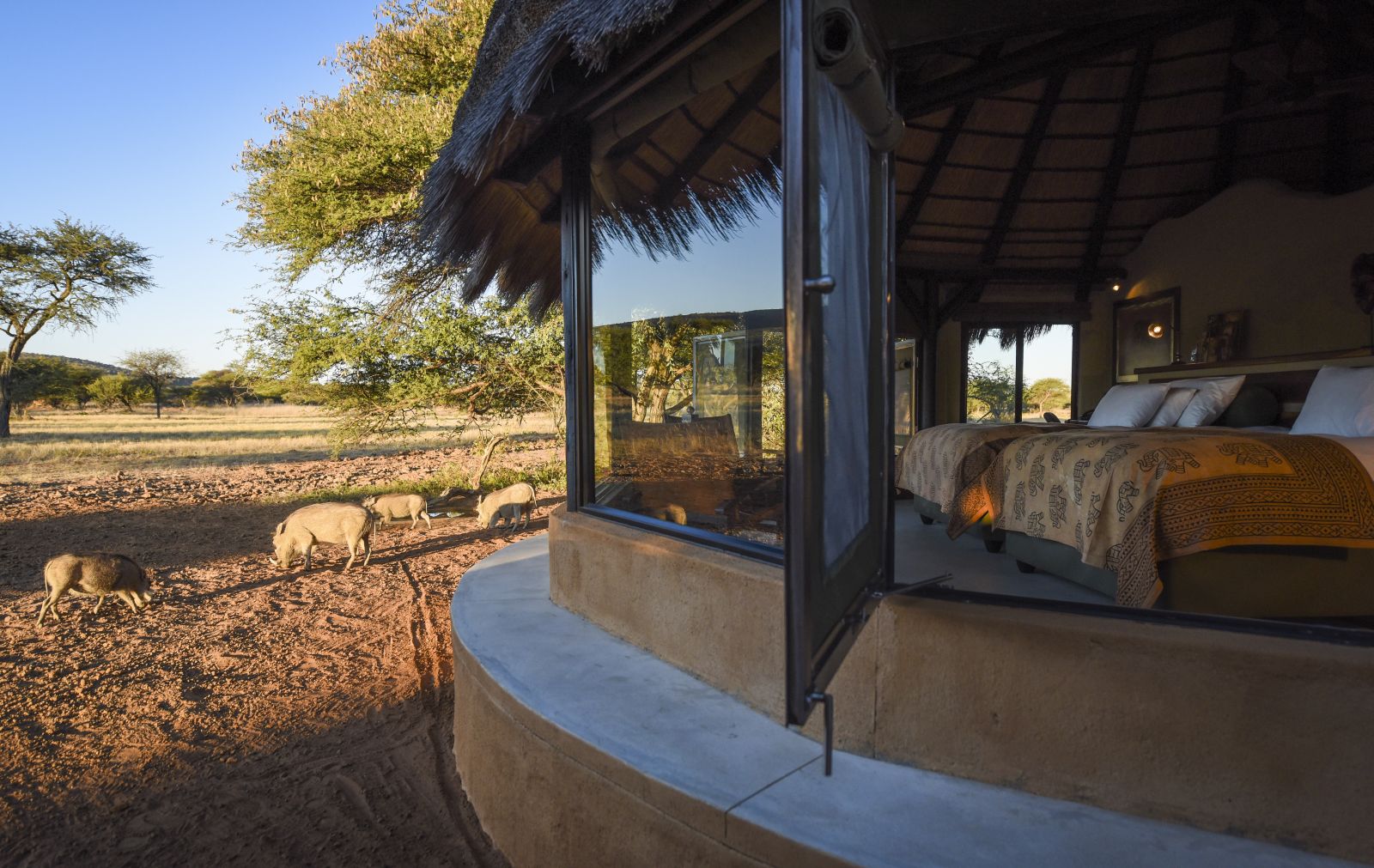 View from bedroom at Okonjima Bush Camp in Namibia 