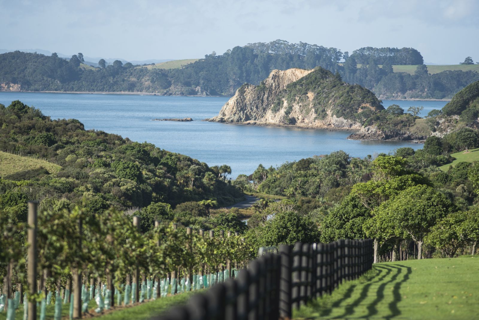 The Landing New Zealand The Vineyard views over the private vineyard and bay