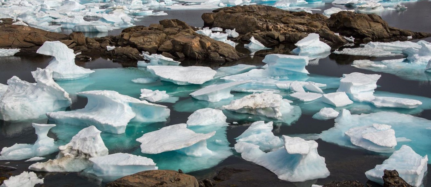 Countless pieces of white and blue floating ice on the shores of Greenland