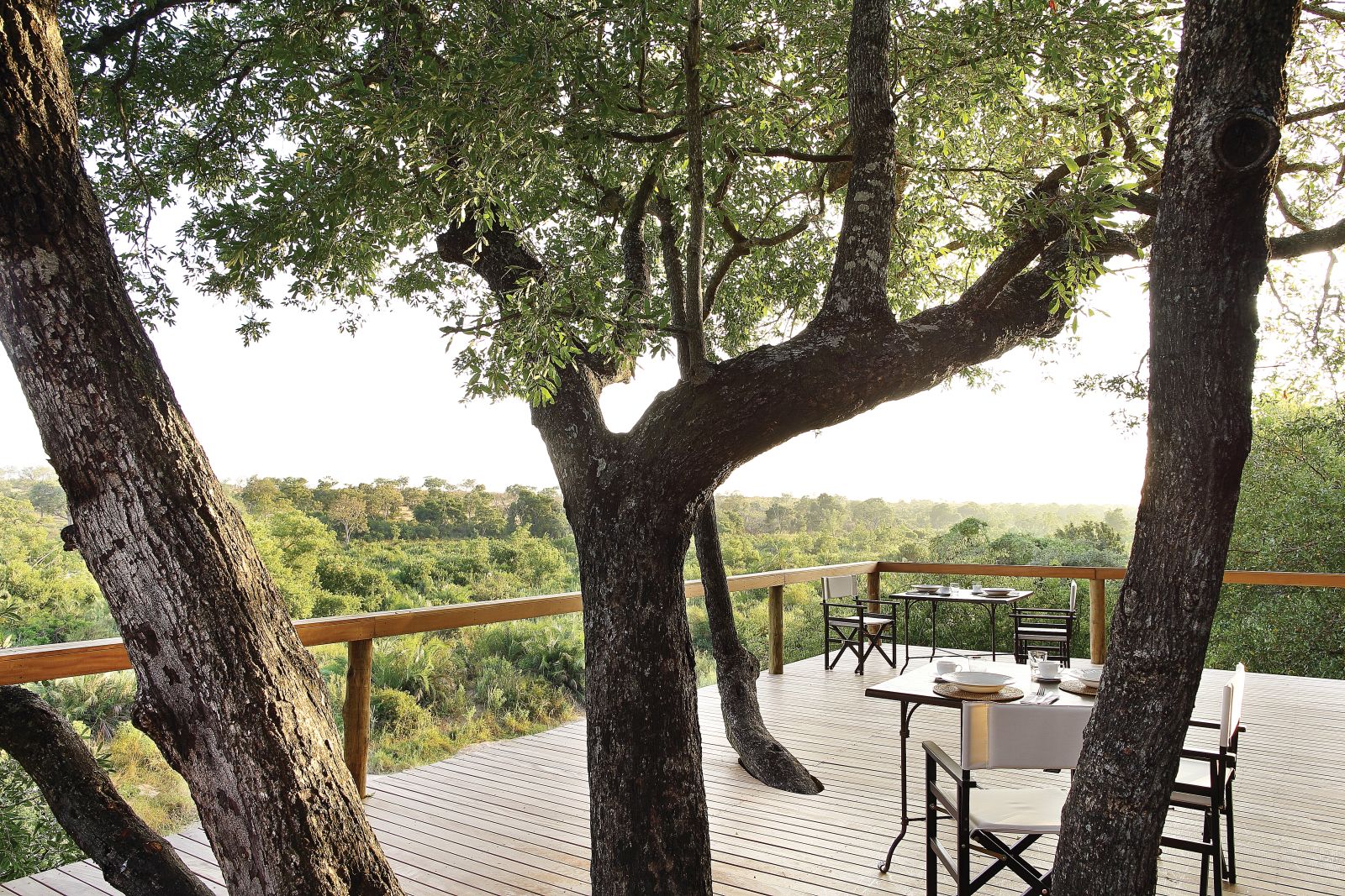 View from deck at Londolozi Tree Camp in South Africa