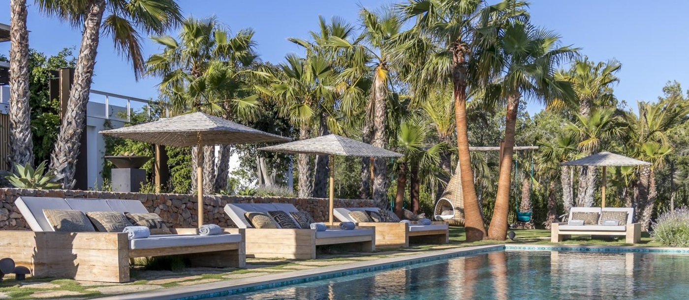 four wide sunloungers along the pool before a backgground of palms