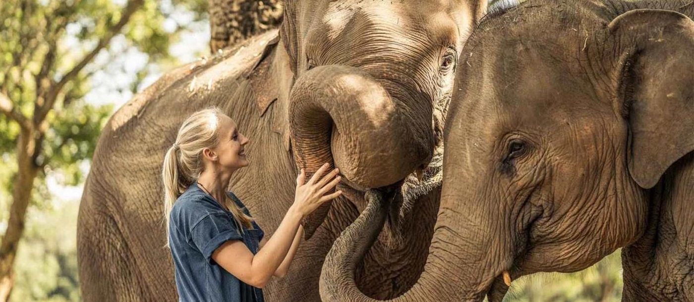 Elephant encounter at Golden Triangle Asian Elephant Foundation