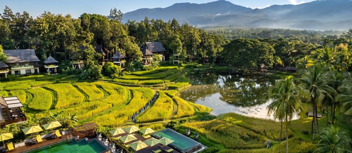 Rice terraces at luxury resort Four Seasons Chiang Mai