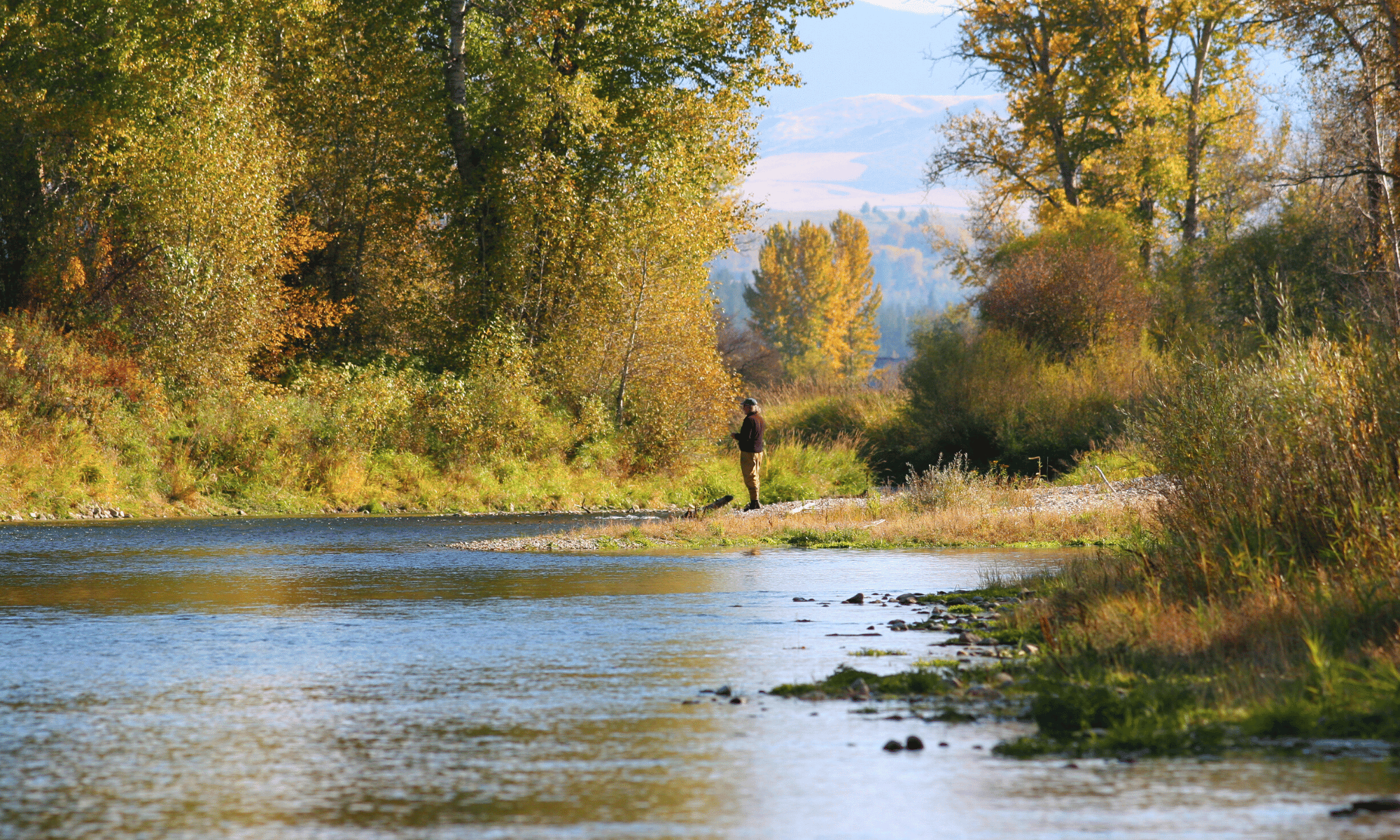 fly fishing on the Bitterroot River in Montana