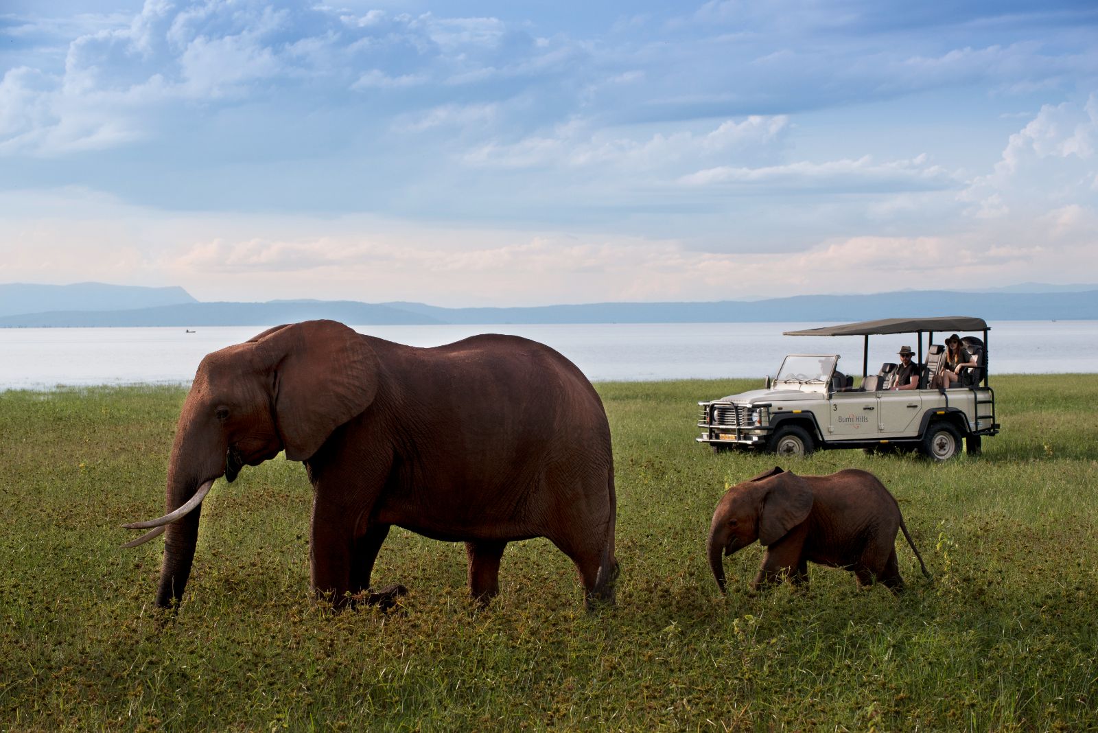 Game drive with elephants at luxury safari lodge Bumi Hills in Zimbabwe