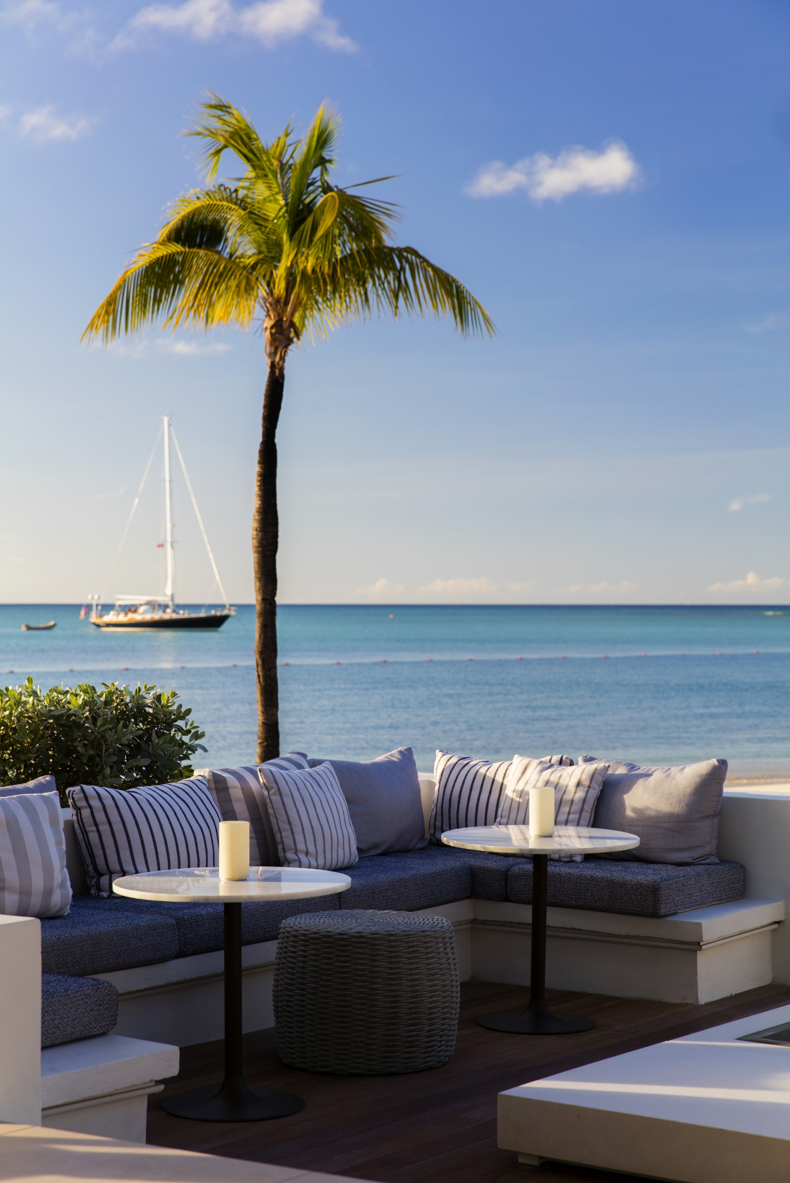 Comfortable lounge with palm