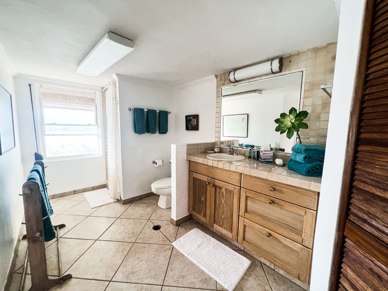 bluff-point-antigua-bathroom-2