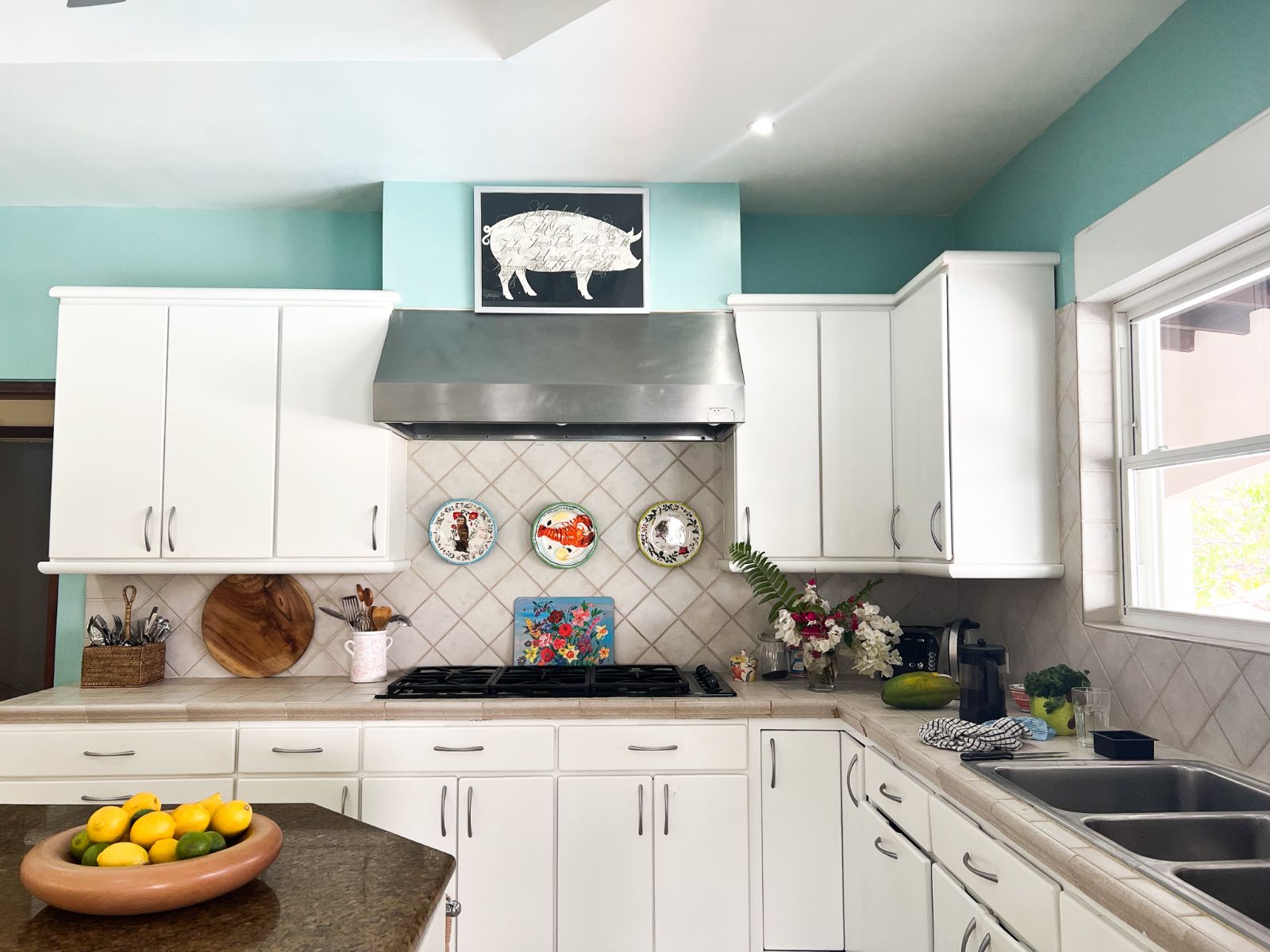 bluff-point-antigua-kitchen