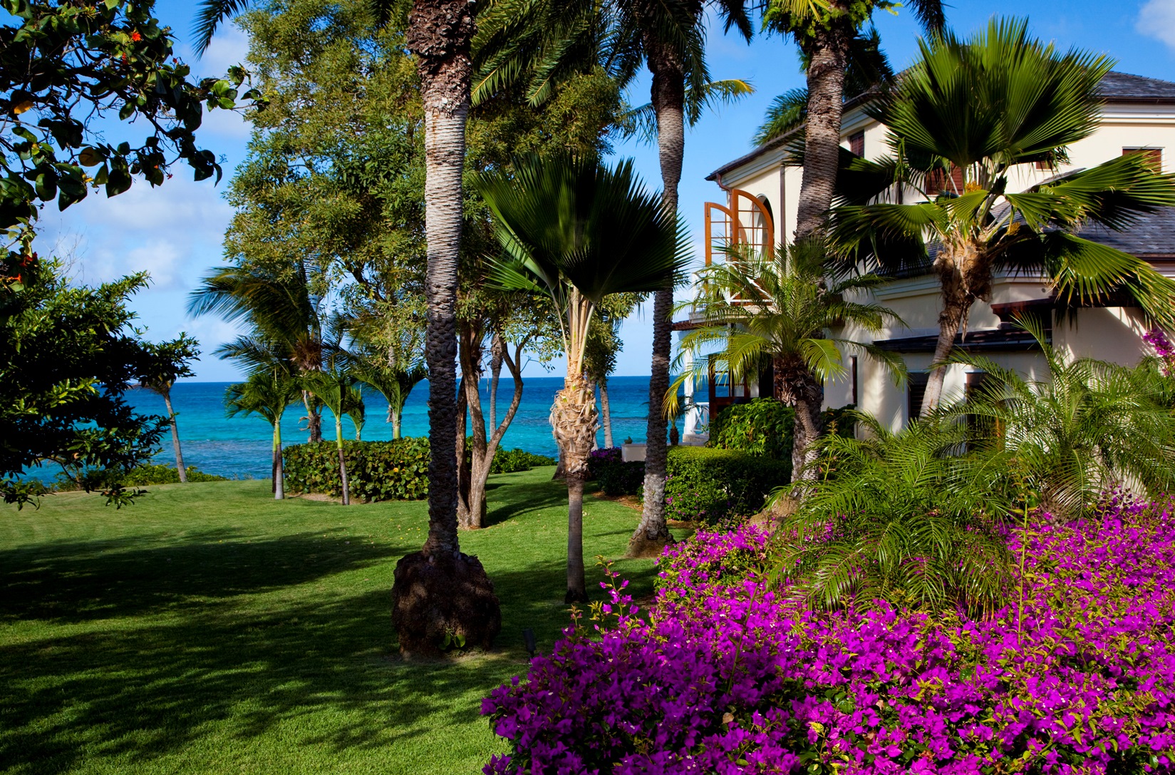 The gardens with pink flowers at Frangipani, Antigua