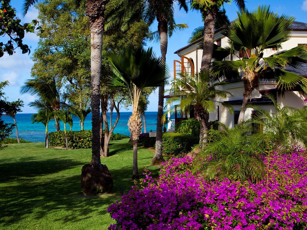 The gardens with pink flowers at Frangipani, Antigua