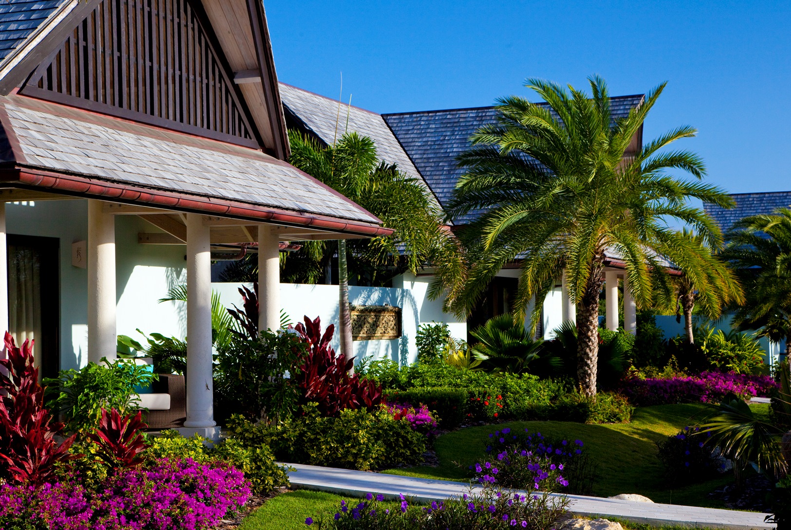 the facade of lazy lizard, antigua