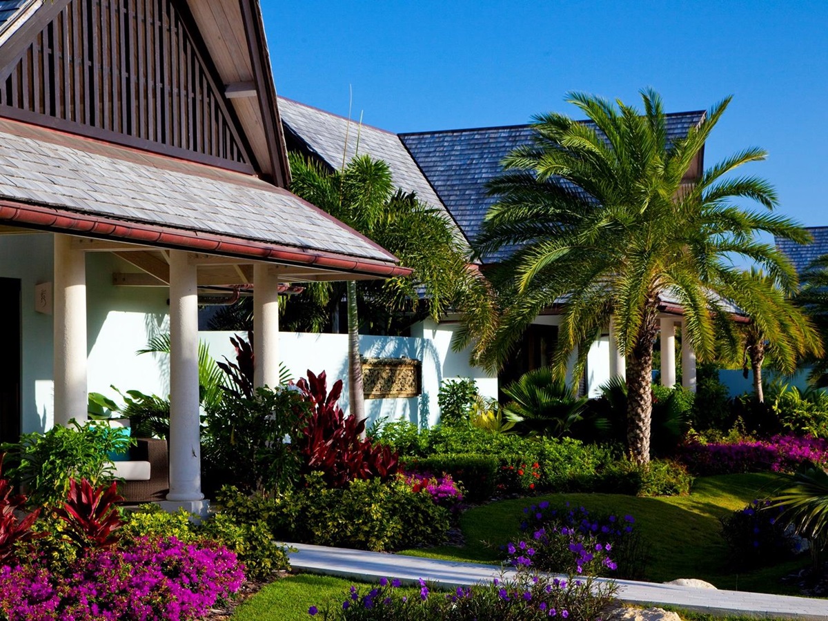 the facade of lazy lizard, antigua
