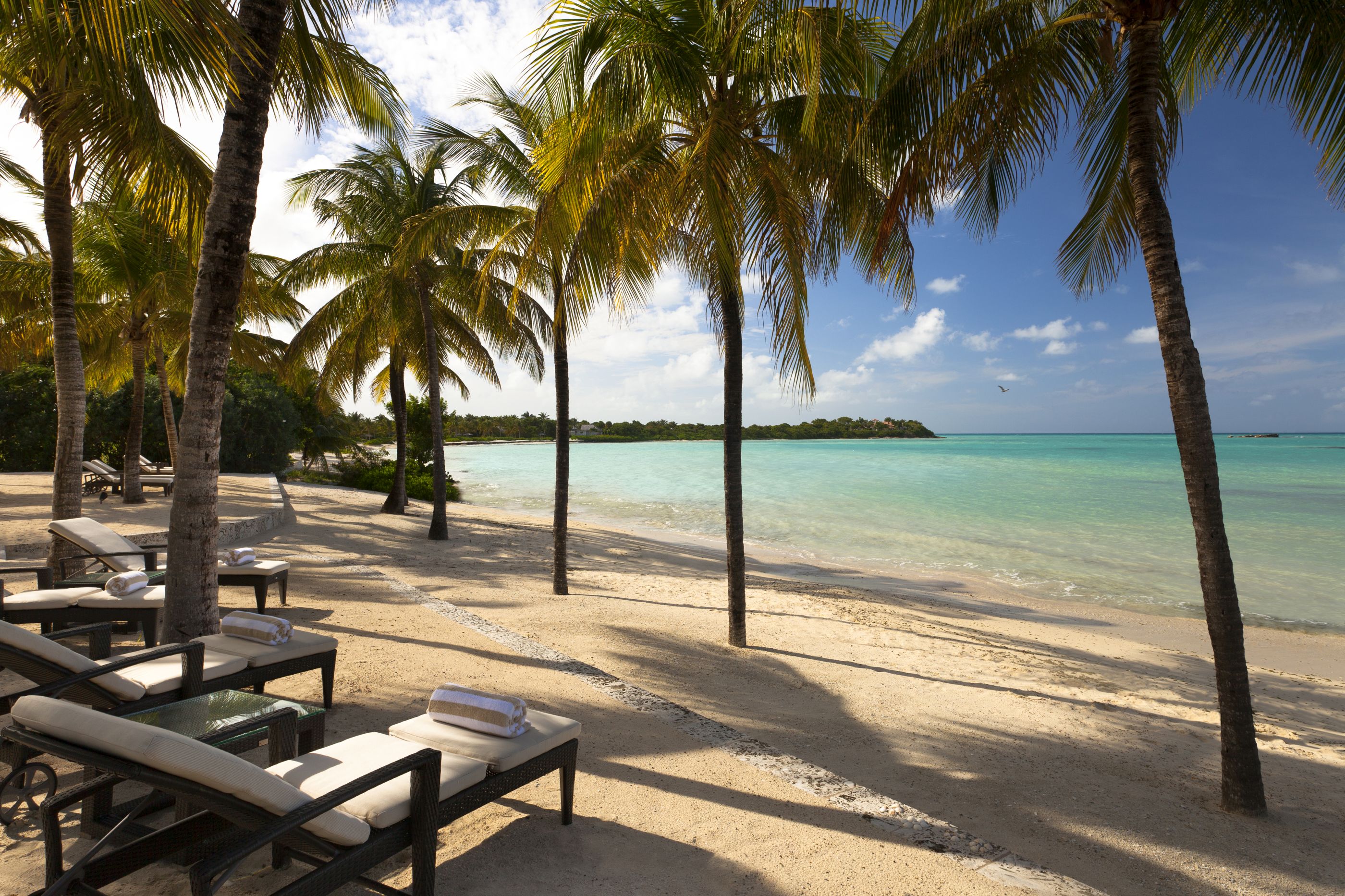 Beach of Oleander, Antigua