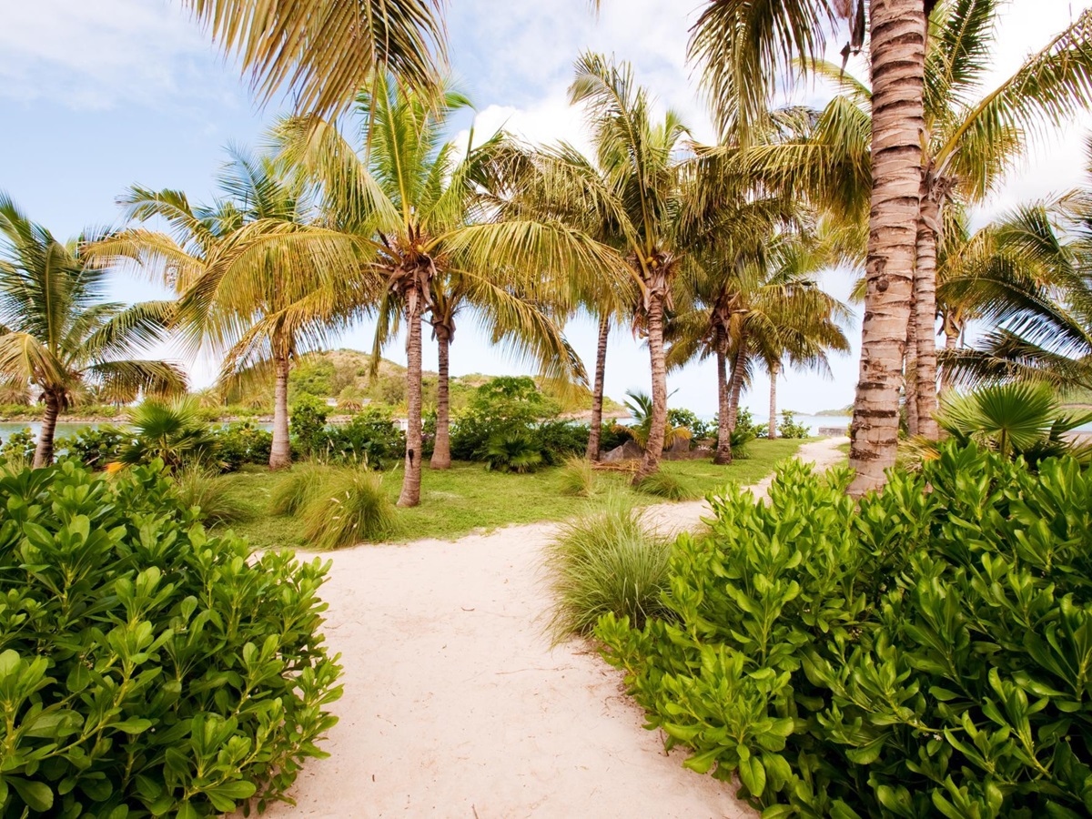 Pathway trhough bushes and palm trees at Palm Point, Antigua