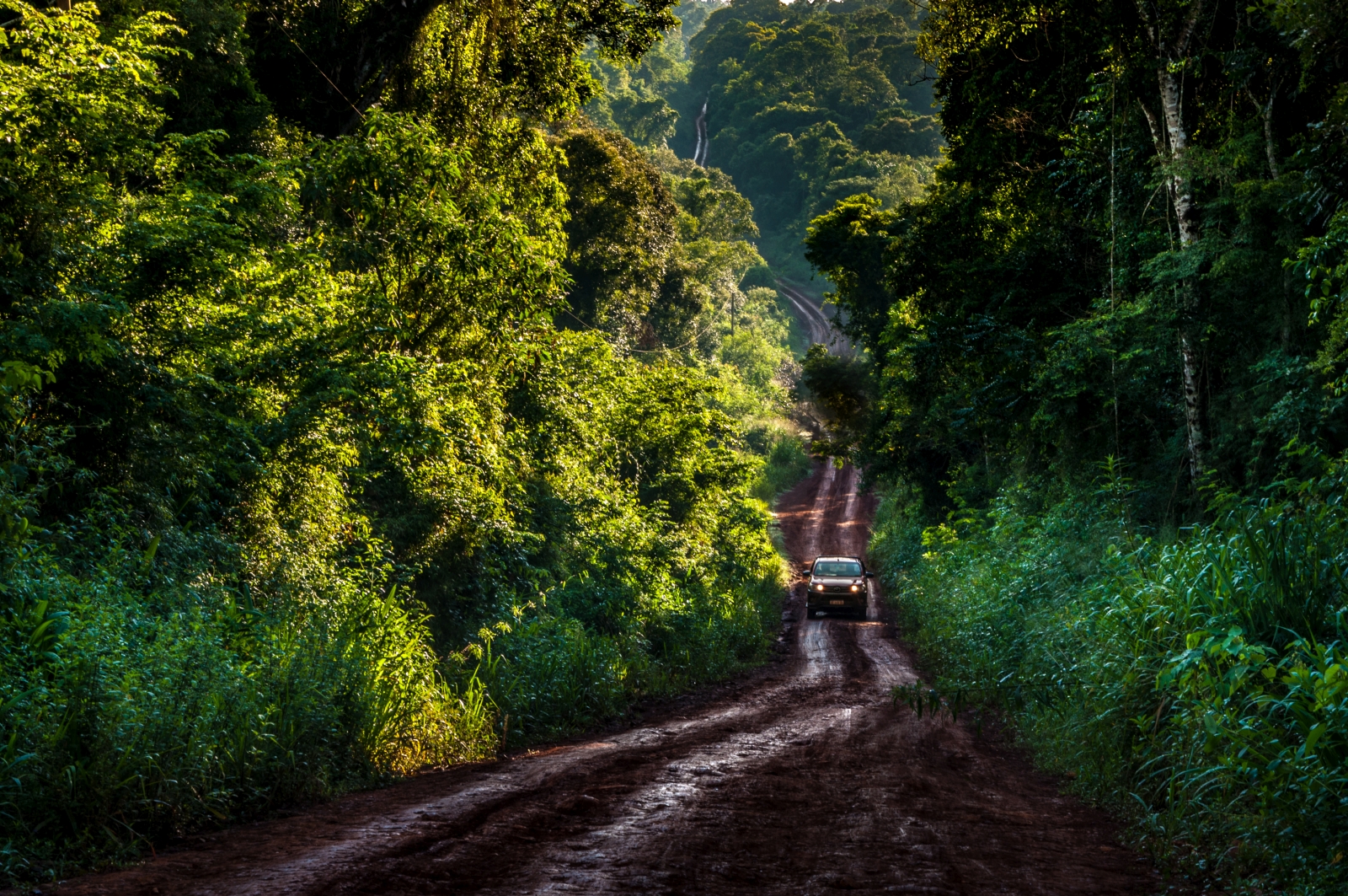 4x4 driving through forest to Awasi Iguazu in Argentina