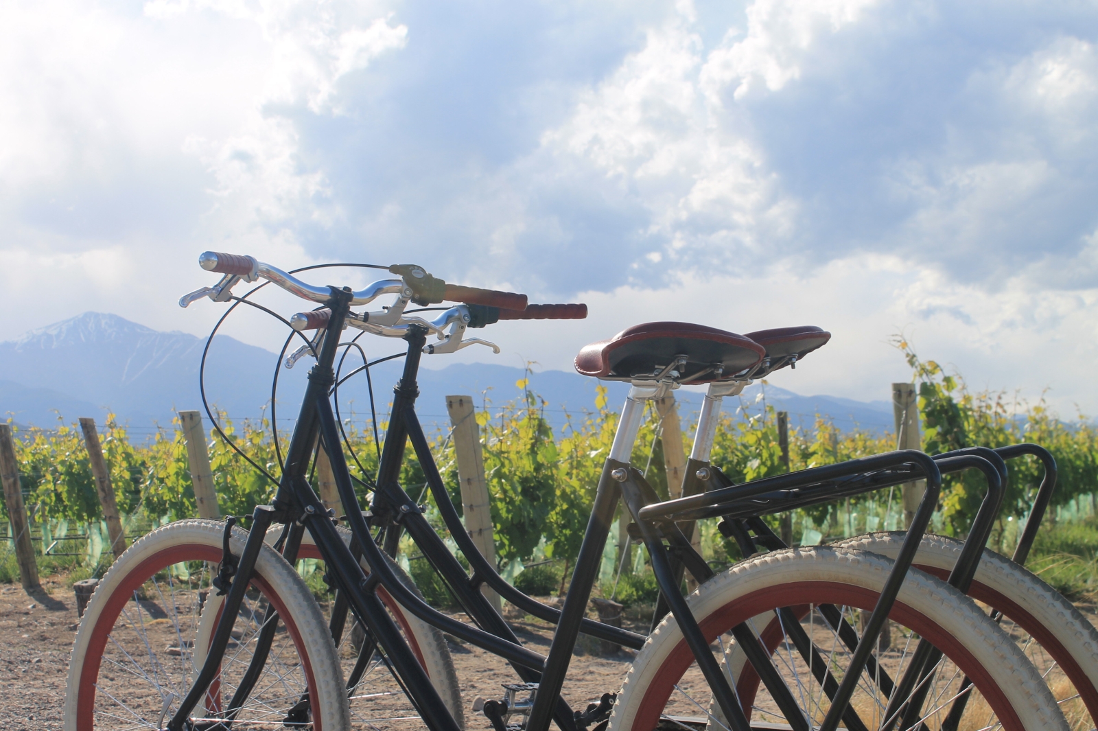 Bikes at Casa de Uco Vineyards and Wine Resort in Argentina