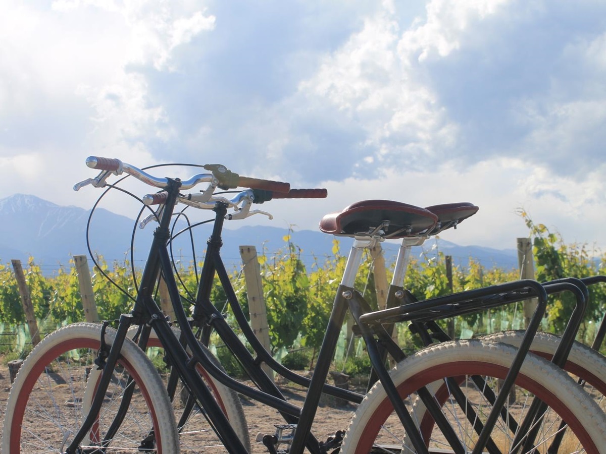 Bikes at Casa de Uco Vineyards and Wine Resort in Argentina