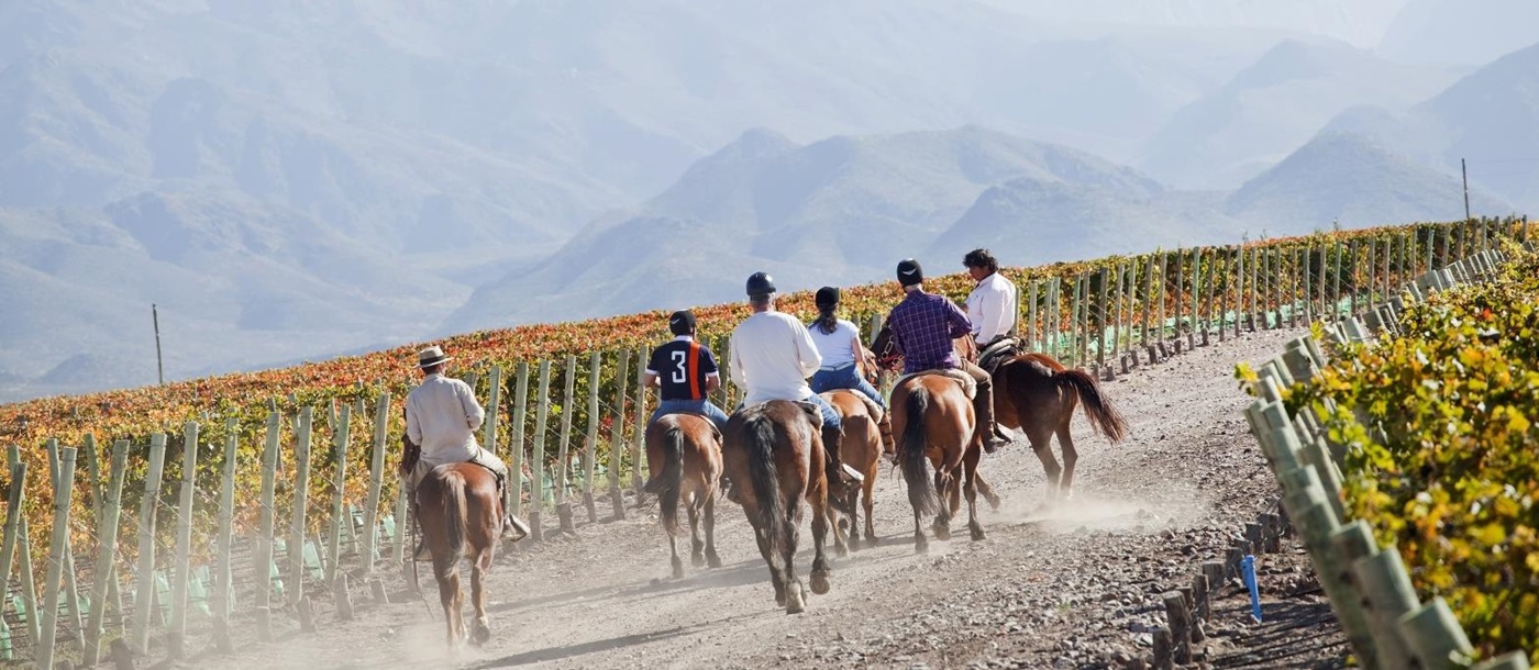 Riding at Casa de Uco Vineyards and Wine Resort in Argentina