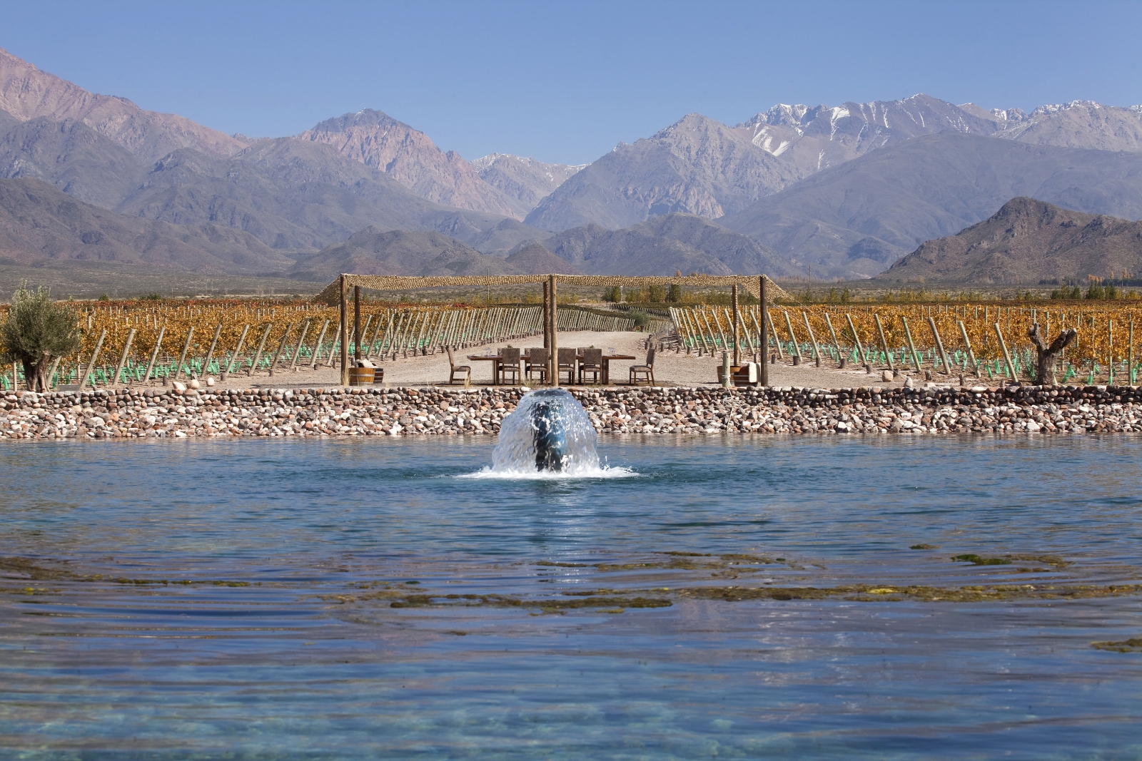 Vines at Casa de Uco Vineyards and Wine Resort in Argentina