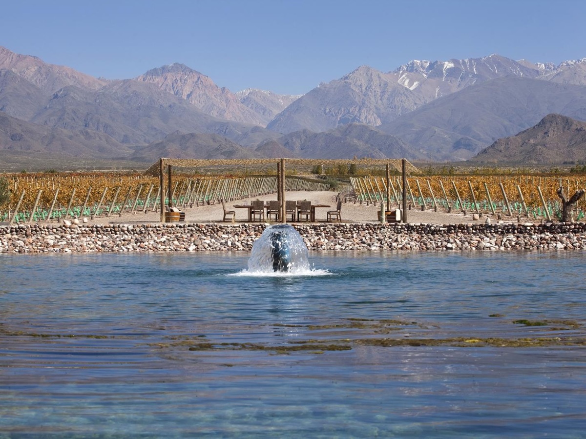 Vines at Casa de Uco Vineyards and Wine Resort in Argentina
