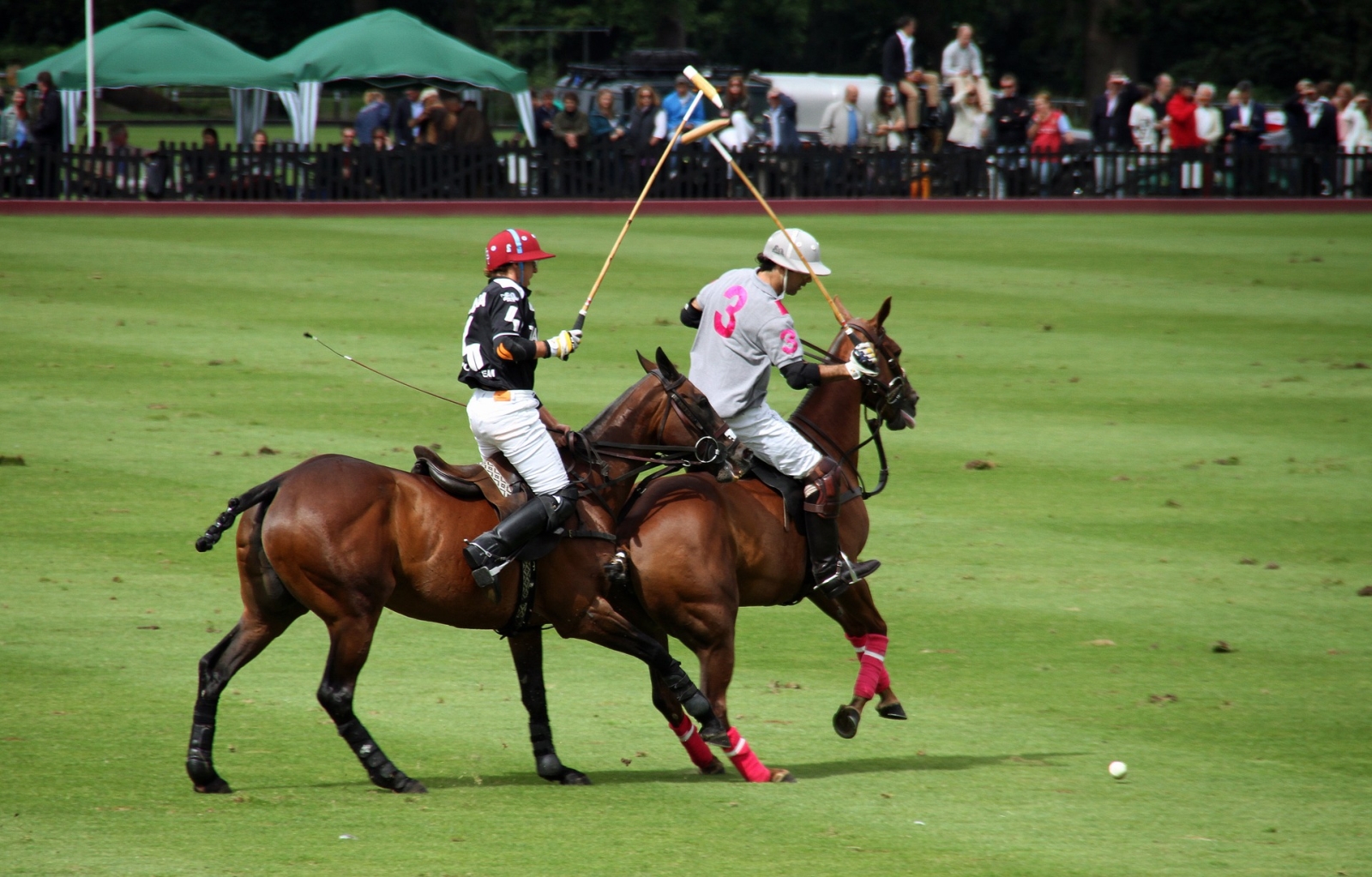 Polo at Estancia La Bamba de Areco in Argentina