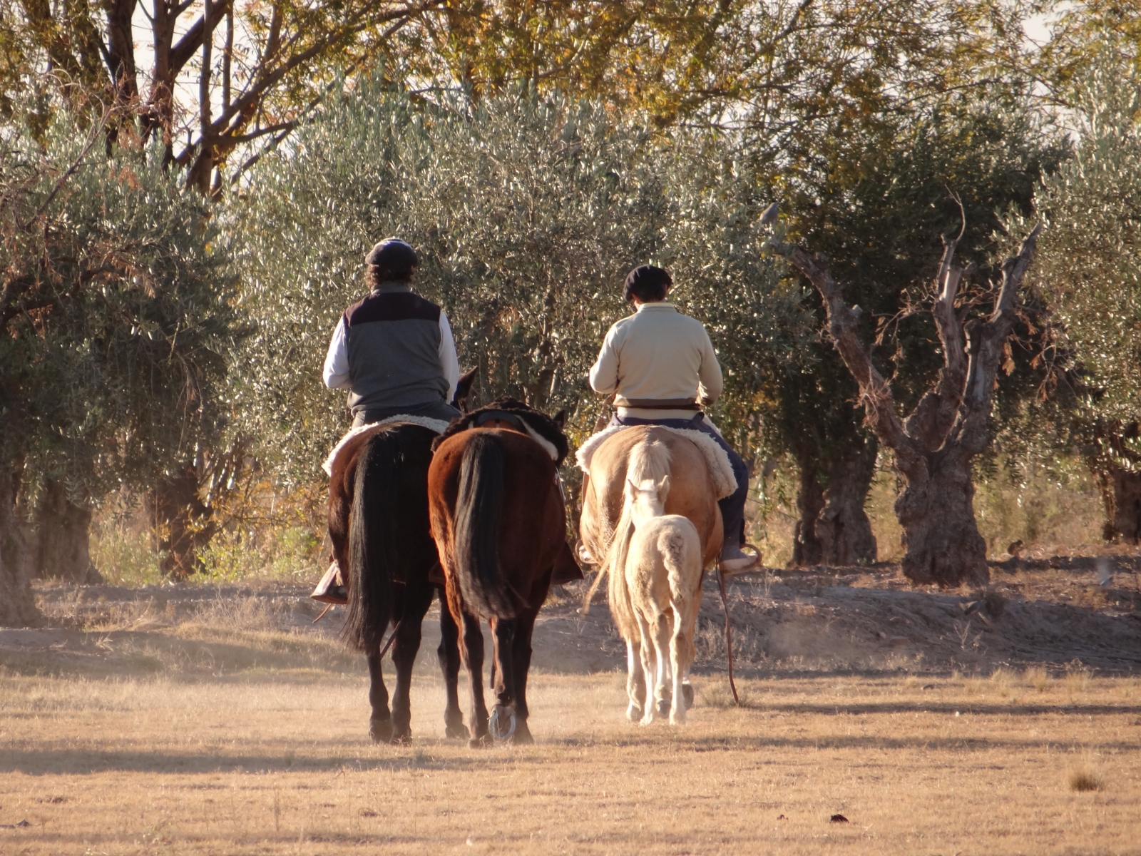 Riding at Estancia La Bamba de Areco in Argentina