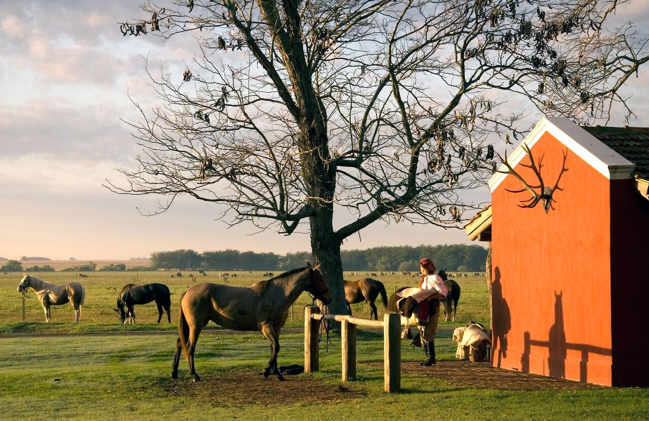 Stables at Estancia La Bamba de Areco in Argentina
