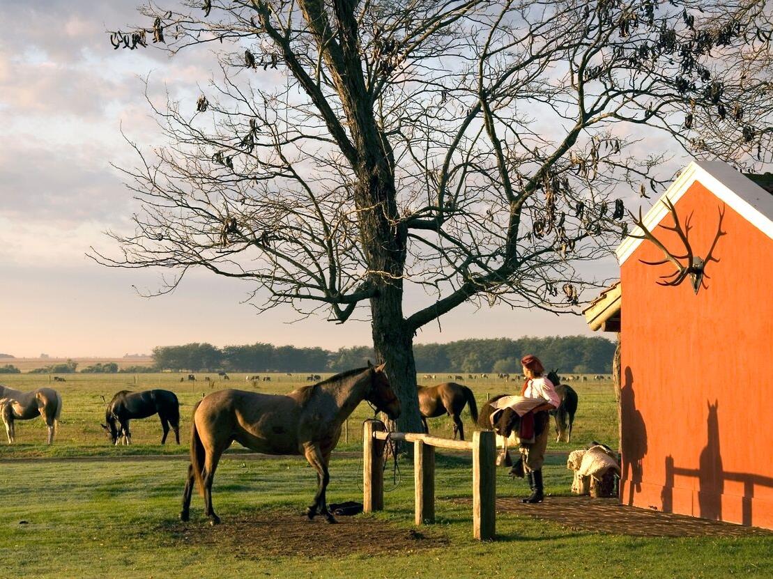 Stables at Estancia La Bamba de Areco in Argentina