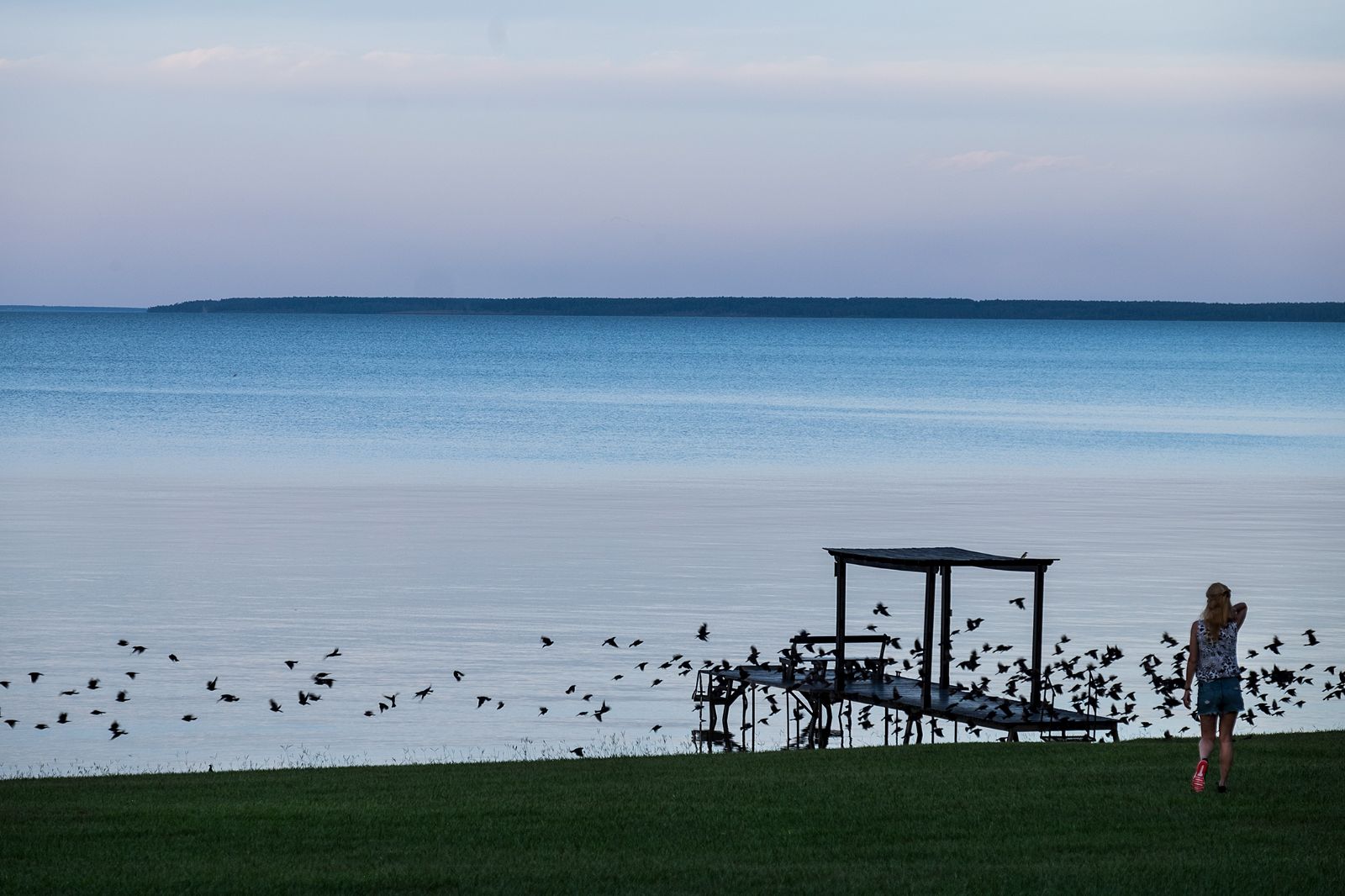 Birds on the dock at Puerto Valle Hotel de Esteros in Argentina's Ibera Wetlands