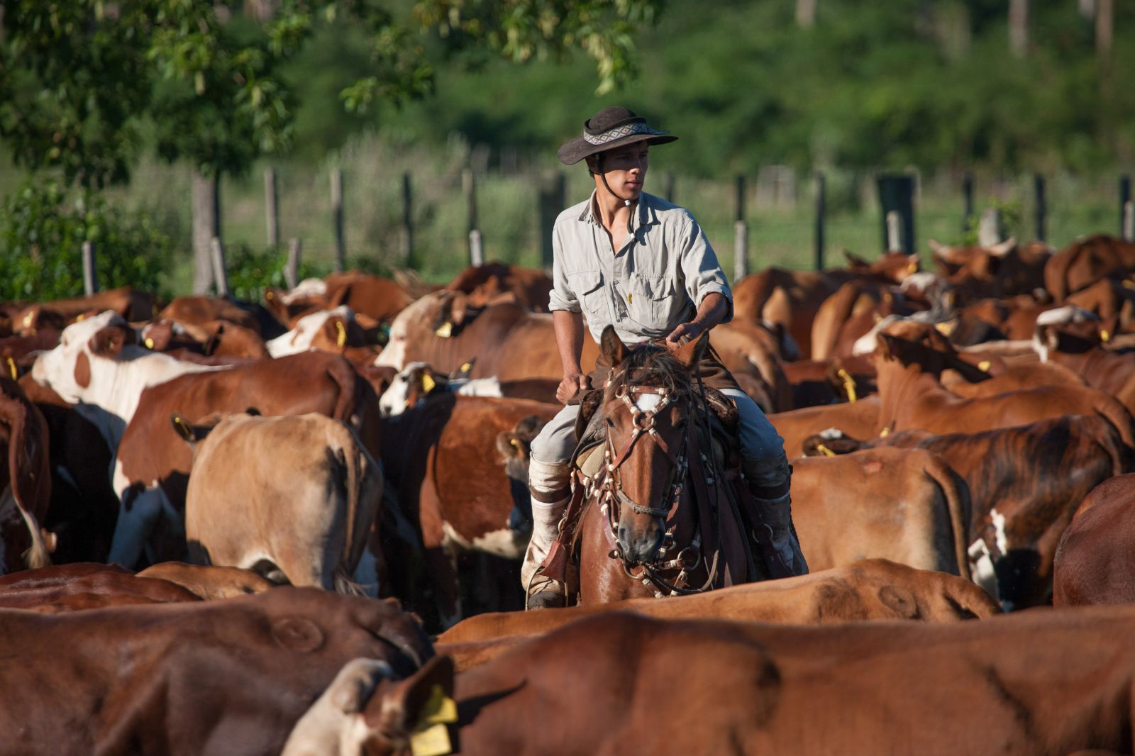 Gaucho riding on the grounds of Puerto Valle Hotel de Esteros in the Ibera Wetlands in Argentina