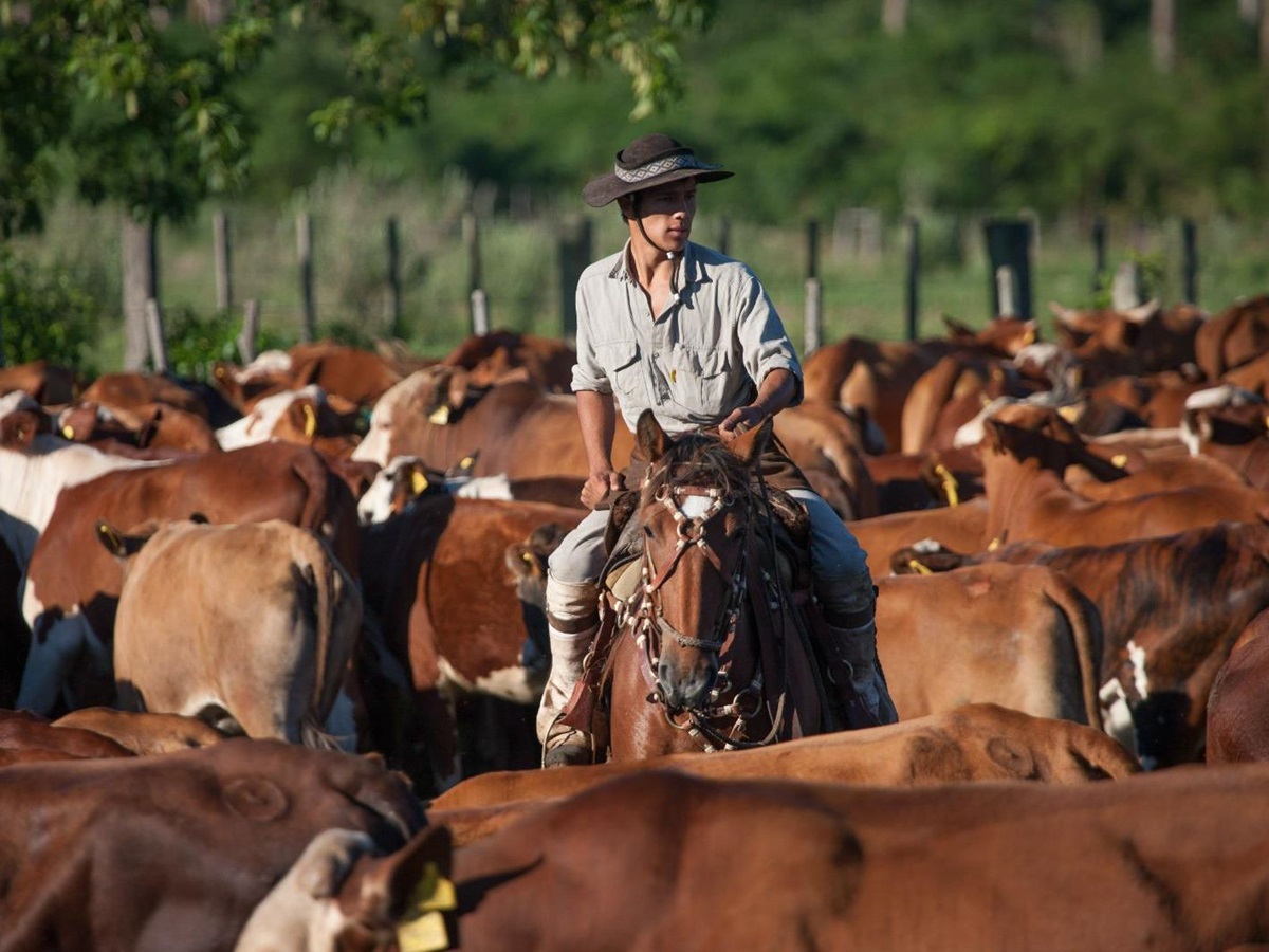 Gaucho riding on the grounds of Puerto Valle Hotel de Esteros in the Ibera Wetlands in Argentina