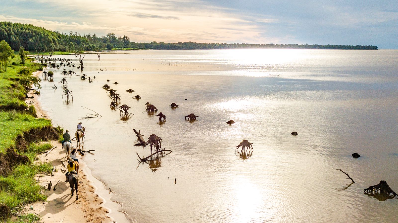 Aerial riding view at Puerto Valle Hotel de Esteros in the Ibera Wetlands in Argentina