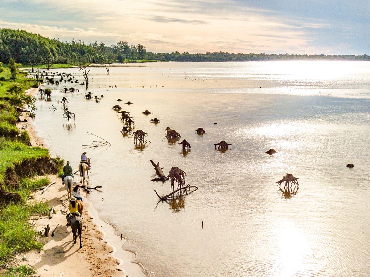 Aerial riding view at Puerto Valle Hotel de Esteros in the Ibera Wetlands in Argentina