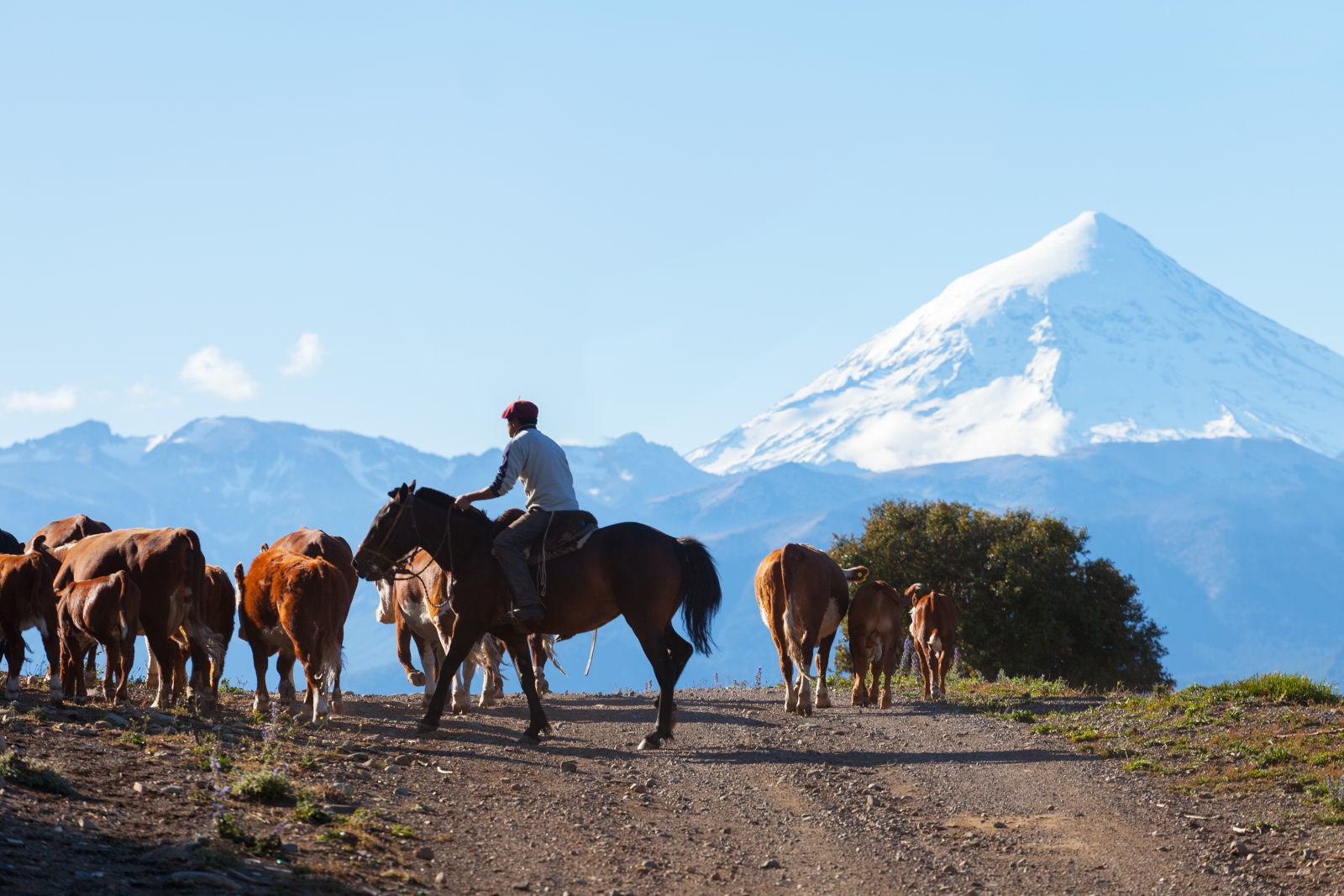 Gauchos riding in Argentina