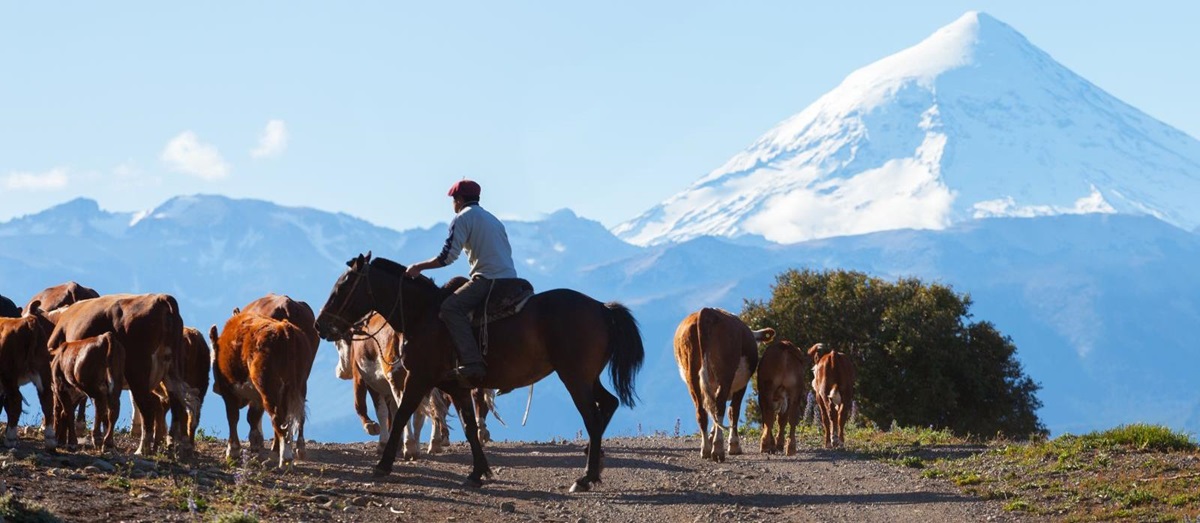 Gauchos riding in Argentina